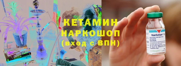 индика Козельск
