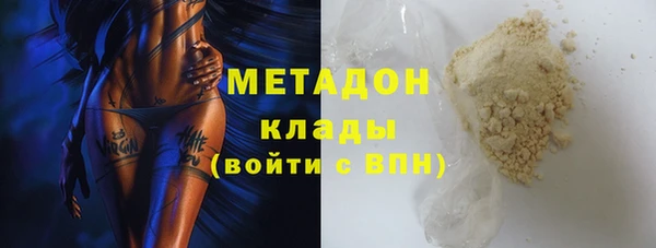 индика Козельск