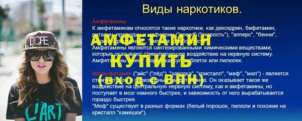 индика Козельск