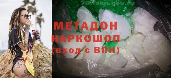 индика Козельск