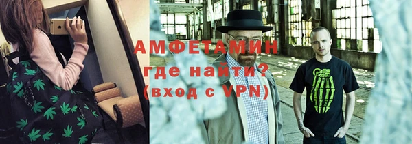 индика Козельск