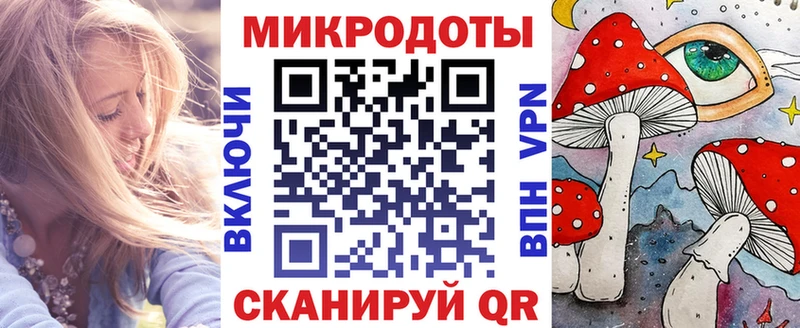 Купить  Арск  Псилоцибиновые грибы Psilocybe 